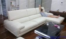 Sofa ưa thích 38